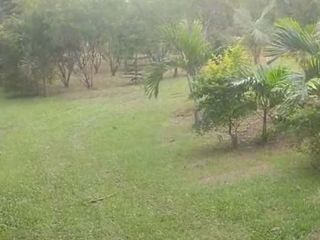 1.6 Hectare Lot in Brgy. Ulat, Silang Cavite for SALE! CLEAN TITLE at 6k per sqm
