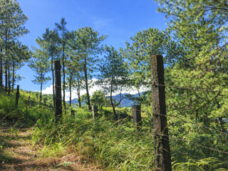 Prime Development Land – Camp 7, Baguio City (Approx. 9,000 sqm)