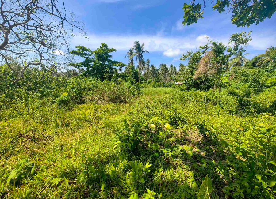 1000sqm Residential Lot for sale in El Nido Palawan