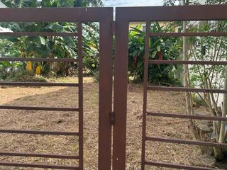 280 SQM Lot For Sale in Miraleste Grove , Merville