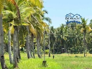 RUSH SALE: 6-Hectare Agricultural Farm in Bobon, Butuan City