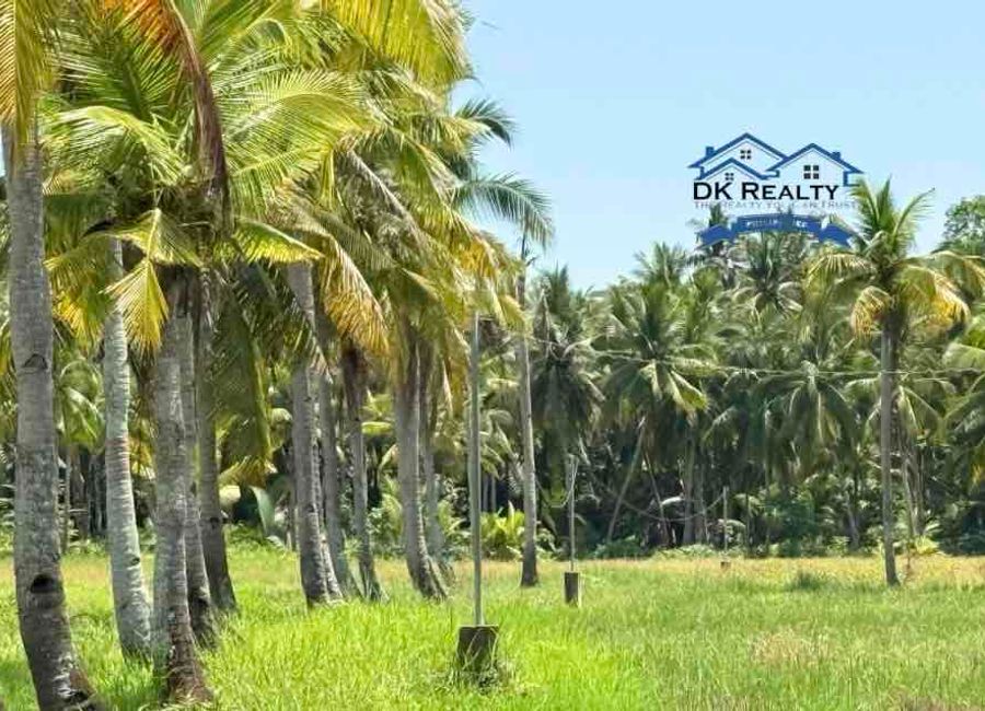 RUSH SALE: 6-Hectare Agricultural Farm in Bobon, Butuan City