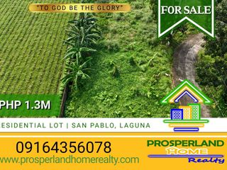 RESIDENTIAL LOT FOR SALE IN  SAN PABLO CITY, LAGUNA