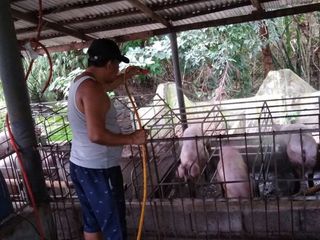 Farm Lot Brgy. Matipok Calaca Batangas near Canyon Woods