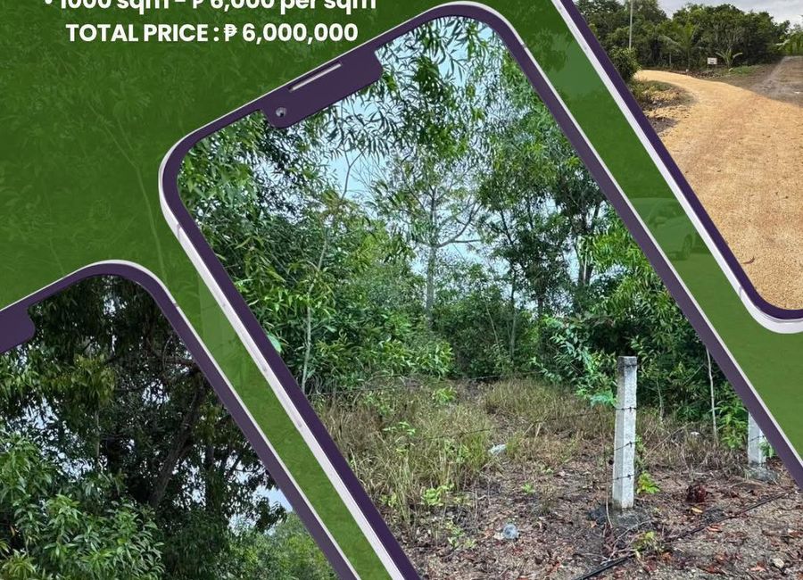 Lot for Sale - 1,000 sqm Lot in Libaong, Panglao