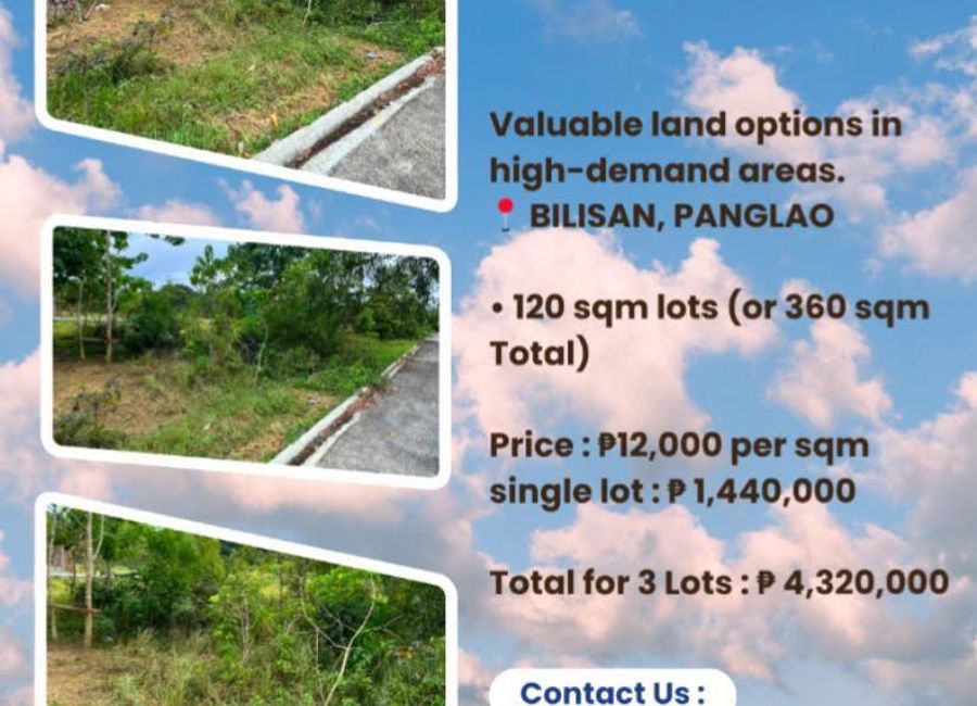 Lot for Sale - Bilisan Panglao ( 3 lots ) 120 sqm or 360 sqm