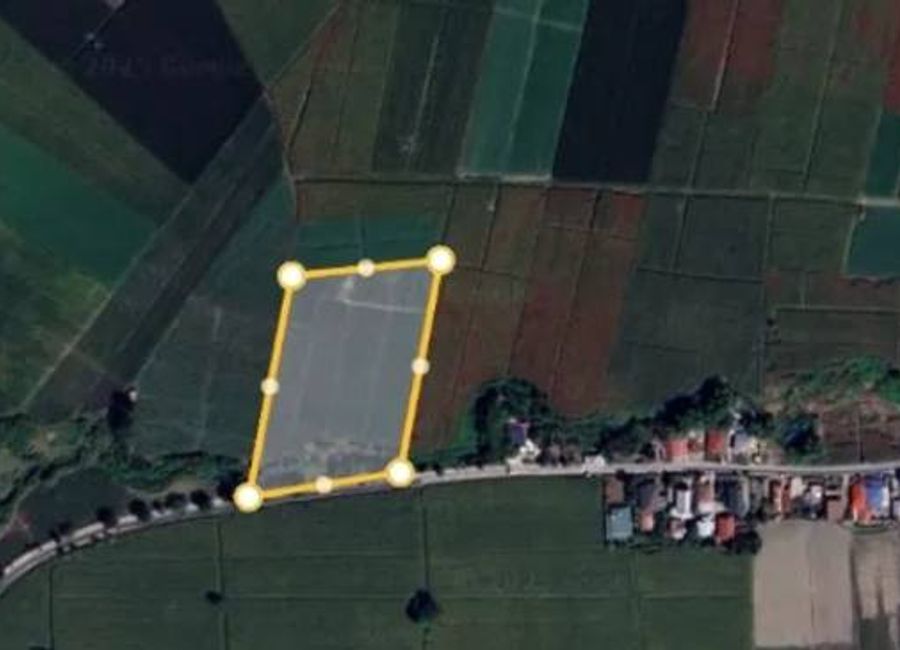 EH-1148: ‼️FOR SALE‼️  FARM LOT Located at Brgy. Balutu, Concepcion, Tarlac