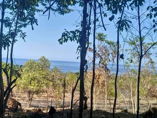 Overlooking property in Brgy. Simpocan with sea view and near in the river