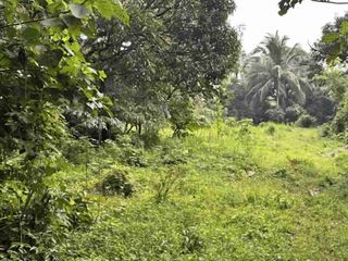 1.5 Hectares Farm Lot in Batangas