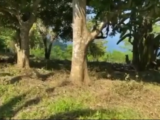 FOR SALE: Hilltop Lot with Batangas Bay View – Mabini, Batangas