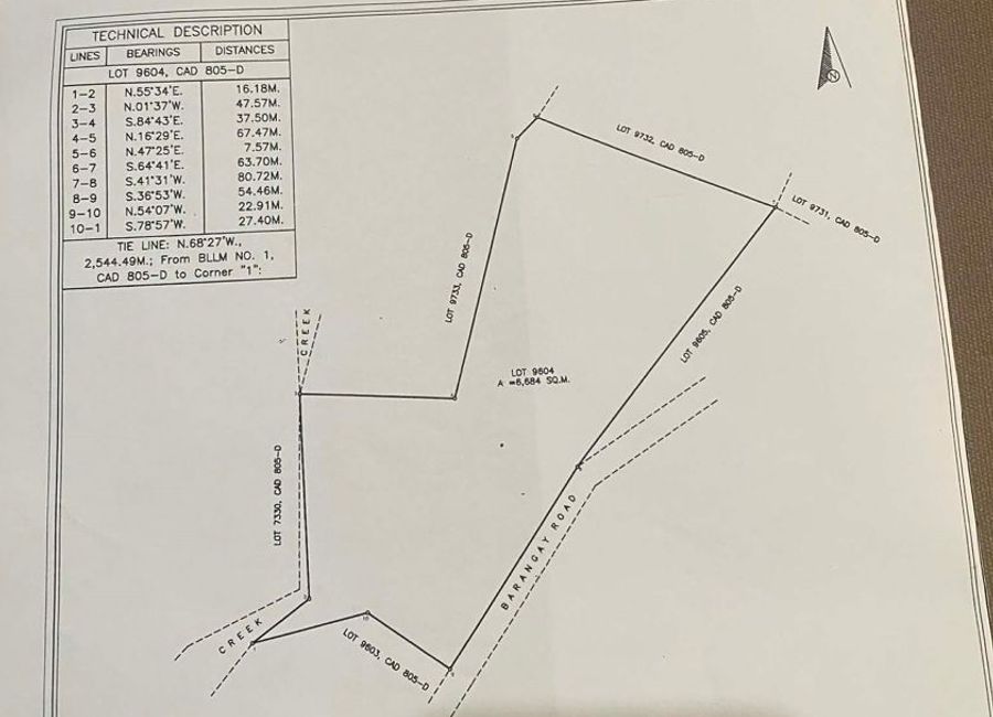 For Sale Rawland 6,684 Sqm in Santander Cebu