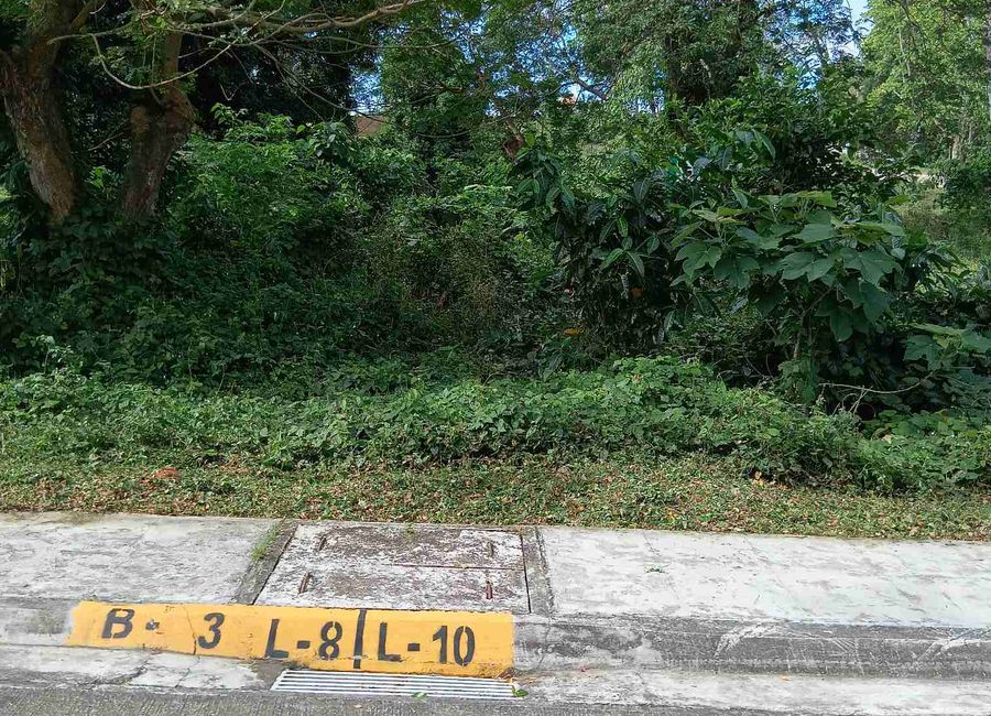 place photo 8