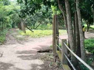 Lot For Sale Tiaong Quezon
