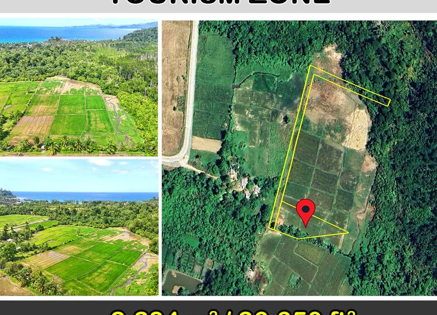 2,284 m2 | Exclusive Estate in Tourist Zone