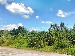 10,000 Hectares Lot for sale in Capas Tarlac