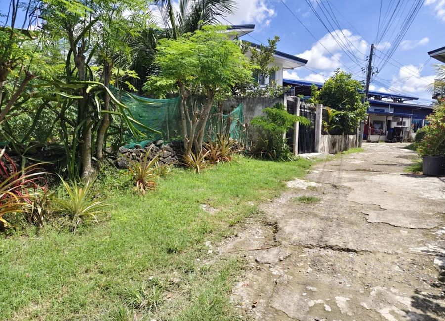 1,000sqm Clean title Residential lot for sale in Cordova Cebu