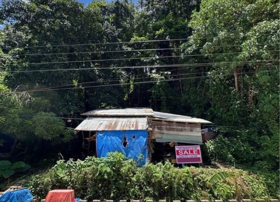 FOR SALE EL NIDO TOWN PROPER LOT