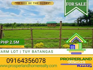 EXCLUSIVE FARM LOT FOR SALE – TUY, BATANGAS