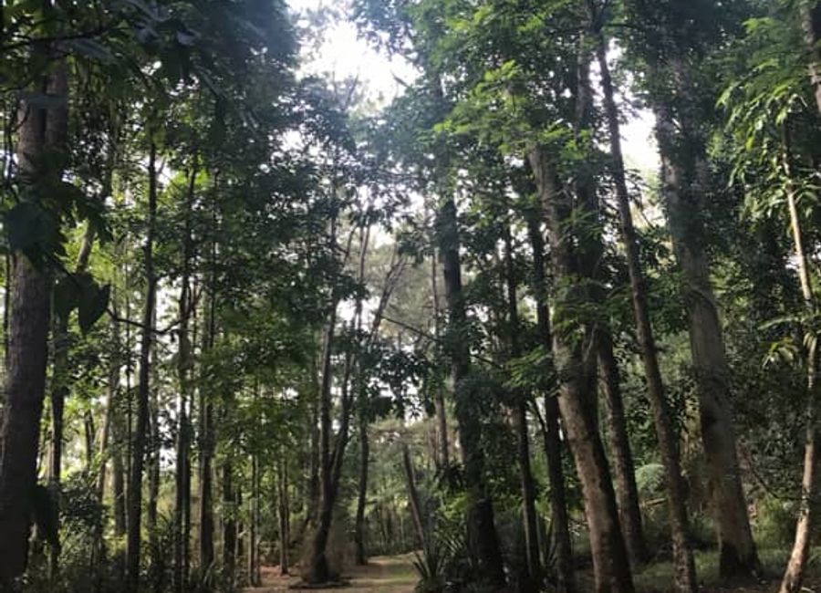 place photo 6