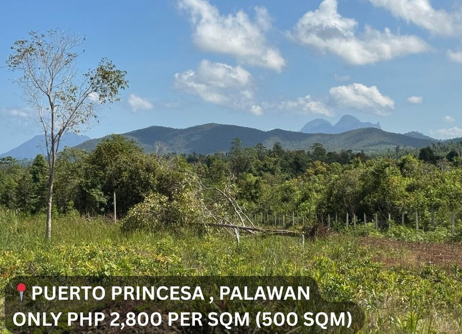 FOR SALE: PUERTO PRINCESA RESIDENTIAL LOT