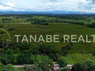 12,939 SQM COMMERCIAL & INDUSTRIAL LOTS FOR SALE – BULACAN | ALONG HIGHWAY | NEAR NLEX BALAGTAS
