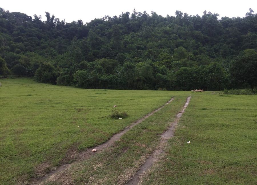 2.2 Hectares Lot in Bamban Tarlac