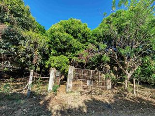 LOT FOR SALE IN TIAONG QUEZON