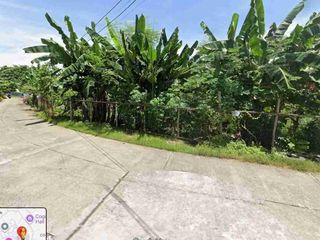 Lot for Sale in Cordova, Cebu near CCLEX