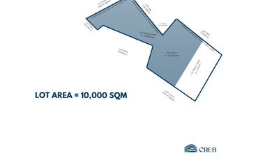 LOT FOR SALE I TOLEDO, CEBU - 10,000 SQM