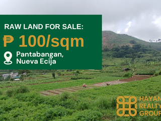 Prime 1.8-54 Hectare Land in Nueva Ecija at ₱100/sqm - Clean Title