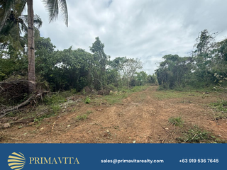 Farm Lot for Sale in Aborlan, Palawan