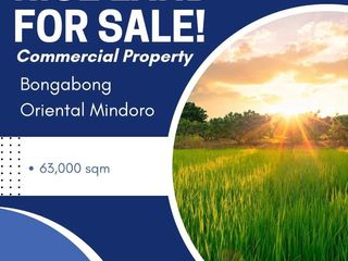 Rice Land Commercial Land for sale in  Bongabong Oriental Mindoro