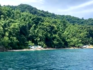 FOR SALE: PRIME BEACHFRONT LOT IN ANILAO,BATANGAS