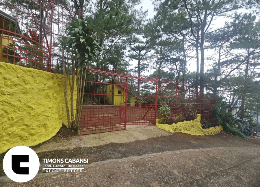 place photo 16