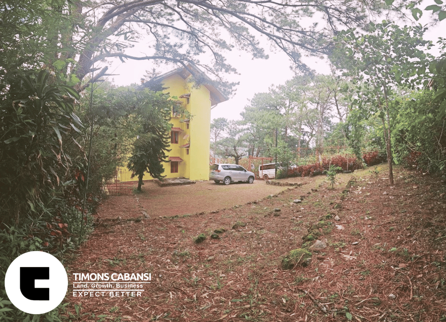 place photo 17