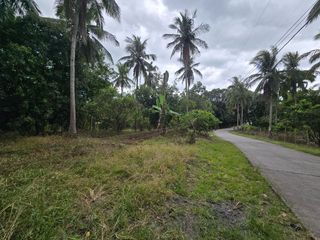 6,811 SQM AGRICULTURAL LOT