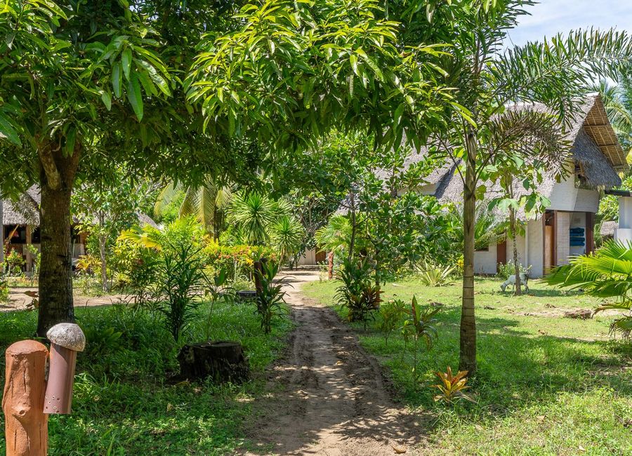 place photo 22