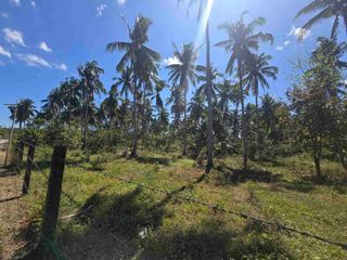 6,000 SQM Agricultural Lot