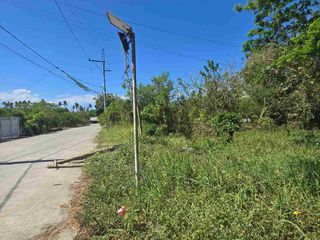 25K SQM (2.5Ha) Agricultural Lot