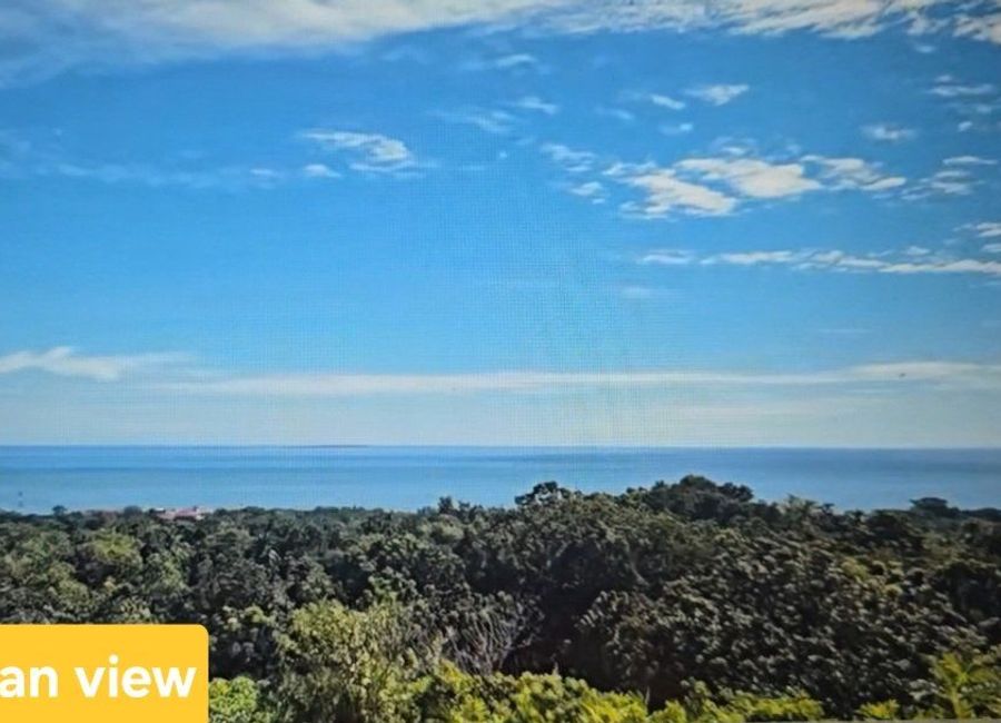 Residential Lot for sale in Landican Baclayon Bohol