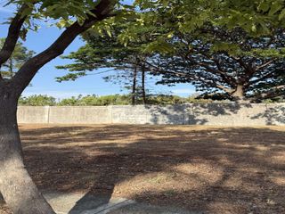 GOOD DEAL 360 sqm Residential Lot For Sale in Portofino South, Daang Reyna, Las Piñas City