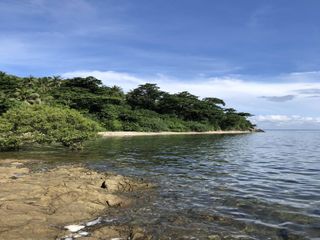 FOR SALE! Beachfront Lot in San Juan, Batangas