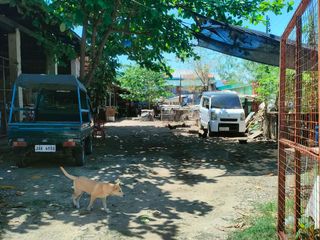 Residential Lot for Sale in Cordova [700 sqm]