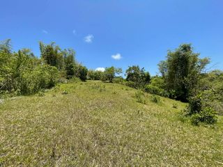 EXPANSIVE LOT FOR SALE IN LAZI, SIQUIJOR SIQ00205