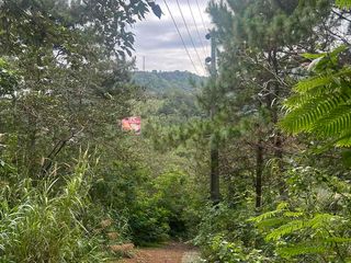 100sqm Lot for Sale in Tuba, Benguet l Near Baguio l Cool Mountain Living