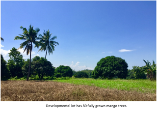 Prime Investment Lot Near SM & Xavier University - Ideal for Development