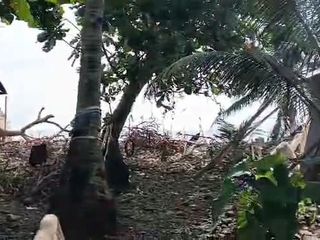 Beach Lot For Sale