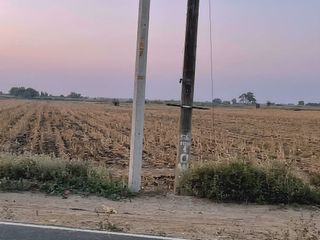 Farm Lot along barangay main road cemented road for Sale in Concepcion Tarlac