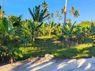 Farmlot For Sale in Magcagong Sibonga Cebu