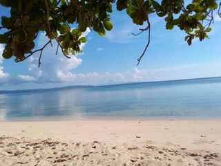 The Marvelous Beach & Farmland for Sale Ferrol, Tablas Island, Romblon, Philippines